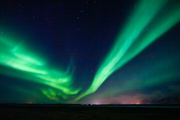 Fototapeta na wymiar Green Northern Lights with a dark sky above field in Iceland