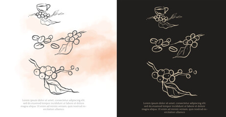 coffee farmer of ink sketch etching for label, packaging, poster. Coffee picker of drawing on vintage paper. arabica coffee of sketch drawing vintage for art print.