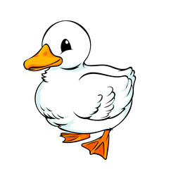 cute white duck cartoon illustrator