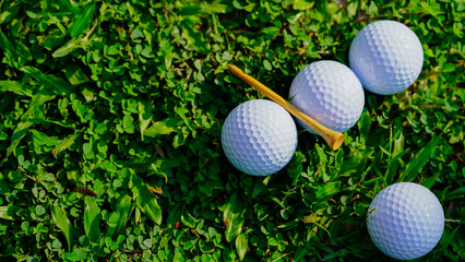 Golf ball on green grass in the evening golf course with sunshine background.