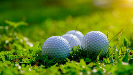 Golf ball on green grass in the evening golf course with sunshine background.