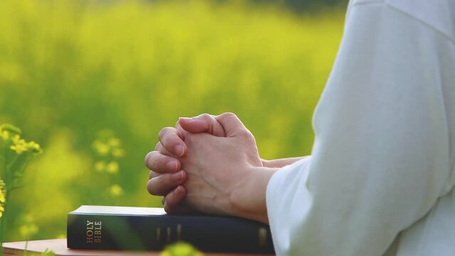 A Christian praying with his hands together on a holy bible on a spring day and a beautiful spring scenery with yellow rapeseed flowers swaying in the wind
