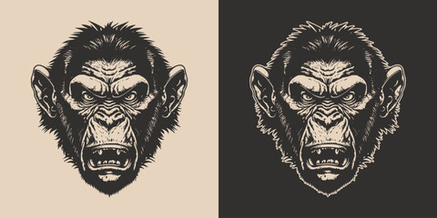 Set of vintage retro angry monkeys. Can be used for logo, emblem, poster, dadge design. Monochrome Graphic Art. Engraving style. Vector