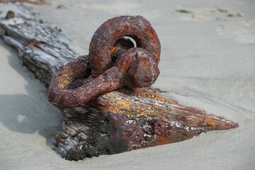 Rusted u-bolt and eye-bolt on wooden beam washed up on sandy shore.
