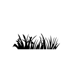 grass silhouette vector