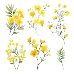 Fototapeta na wymiar Set of yellow floral watecolor. flowers and leaves. Floral poster, invitation floral. Vector arrangements for greeting card or invitation design