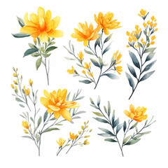 Set of yellow floral watecolor. flowers and leaves. Floral poster, invitation floral. Vector arrangements for greeting card or invitation design