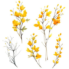 Set of yellow floral watecolor. flowers and leaves. Floral poster, invitation floral. Vector arrangements for greeting card or invitation design