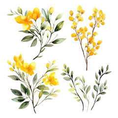 Set of yellow floral watecolor. flowers and leaves. Floral poster, invitation floral. Vector arrangements for greeting card or invitation design