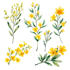Fototapeta na wymiar Set of yellow floral watecolor. flowers and leaves. Floral poster, invitation floral. Vector arrangements for greeting card or invitation design