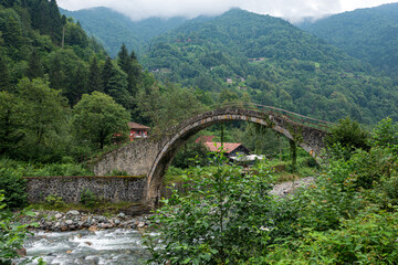 bridge over the river