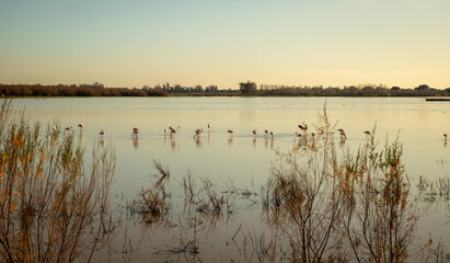Naturelandscapes in Southern Spain Europe largest wetlands