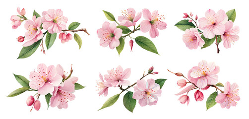 Pink cherry blossom flowers isolated on transparent background. Generative Ai