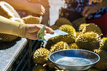 Elderly Thai female vendor ride motorcycle selling durians and fruits and vegetables to tourists at roadside. Street Merchant cut open and sell flesh of fresh durian. Durian trading. Selective focus.