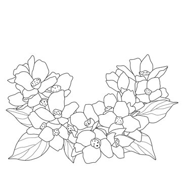 Bouquet frame of flowers for coloring book. Black and white sketch outline
