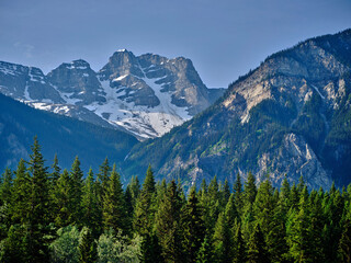 Rugged bare mountain peaks and deep pine and fir forests in the Canadian Rockies Alberta Province of Canada