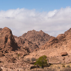 The Holy Land, St. Catherine, Sinai, Egypt