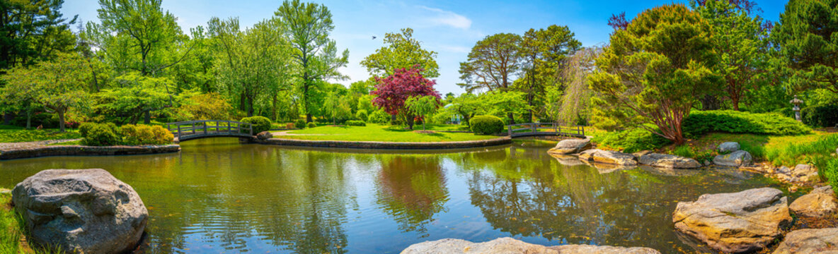 Japanese Garden at Roger Williams Park, Providence, Rhode Island, pond, rocks, red maple, and green willow trees on the hill