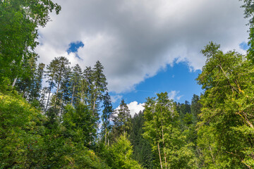 Scenic panoramic landscape: beautiful clinic black forest HD pics, Germany, EUROPE