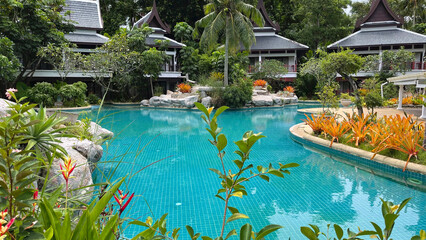Swimming pool with flowers. Swimming pool and palm trees in luxury tropical resort. Phuket island....