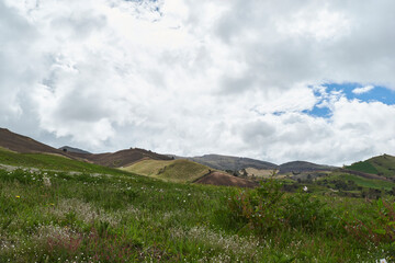 Beautiful mountains in a savannah forest