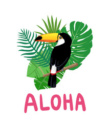 Toco toucan and Tropical Plant Aloha Illustration