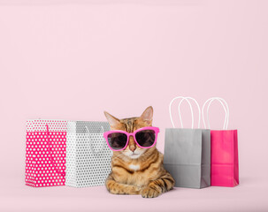 Funny red cat in glasses with paper shopping bags on a colored background. - obrazy, fototapety, plakaty