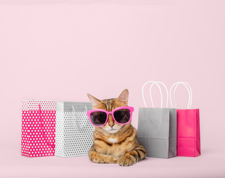 Funny red cat in glasses with paper shopping bags on a colored background.