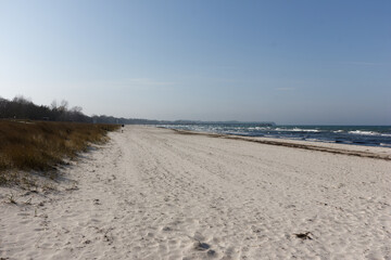 German Baltic Sea coast line at spring time