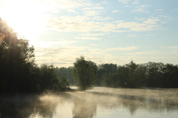 Brume matinale sur le marais