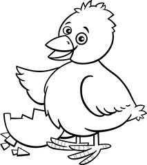 cartoon little chick hatched from egg coloring page