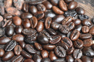 Aromatyczne ziarna świeżo palonej kawy na plantacji kawy w środkowej części wyspy Bali w...