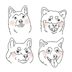 four expressive Shiba inu dog faces, line art set