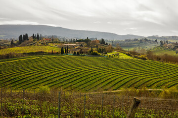 Rolling hills of Tuscany, Italy.