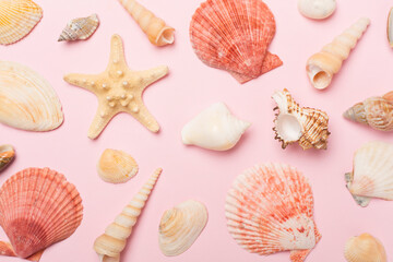 Sea shells on color background, top view