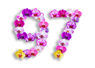 The shape of the number 97 is made of various kinds of orchid flowers. suitable for birthday, anniversary and memorial day templates