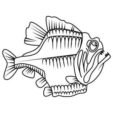 Beautiful hand drawn illustration with piranha. Vector.