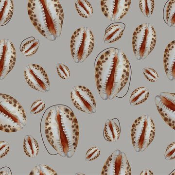 Watercolor cowrie sea shell  seamless pattern.