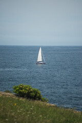 Sailing ship floats on the sea near the green shore
