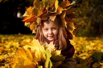 Beautiful little girl in bright yellow orange autumn warm knitted hat and scarf snood with bouquet of maple leaves,foliage walking in forest. Fun playing in park. Outdoor family activity in nature