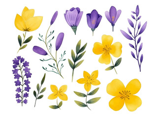 Collection of watercolor flower floral natural elements on transparent background, AI generated
