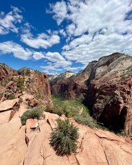 Fototapeta premium View from Angel's Landing