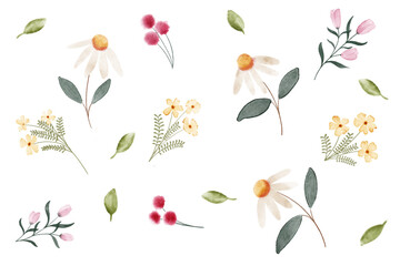 Spring Daisy bloom pink red white yellow green floral seamless pattern 