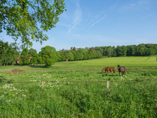 Frühling  im Münsterland