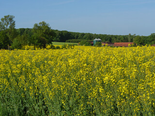 Frühling  im Münsterland