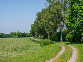 Frühling  im Münsterland