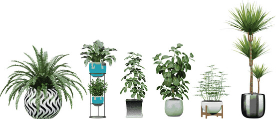 Beautiful plants in ceramic pots isolated on transparent background for illustration, digital composition, and architecture visualization