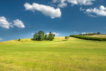 field and blue sky