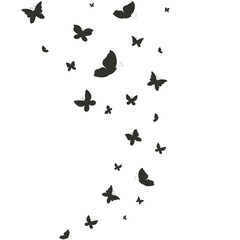 Fototapeta na wymiar vector monochrome illustration with butterfly silhouettes 