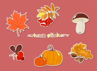 Set of stickers in bright colors on an autumn theme with leaves and fruits on a dark pink background